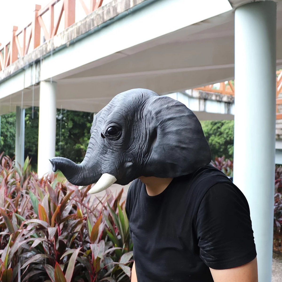 Olifant masker