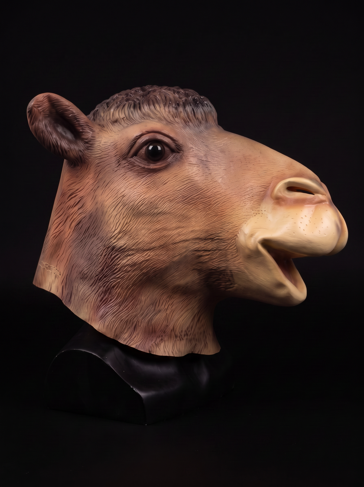 Kameel masker