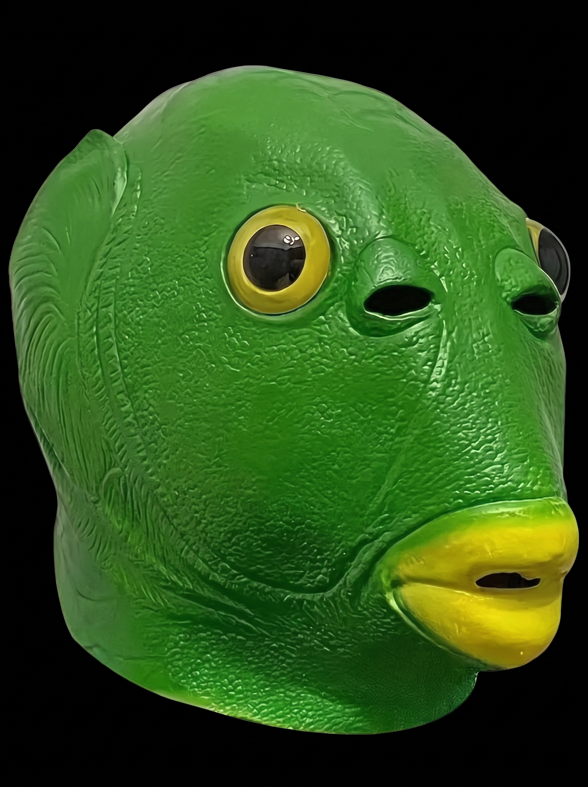 Vis masker