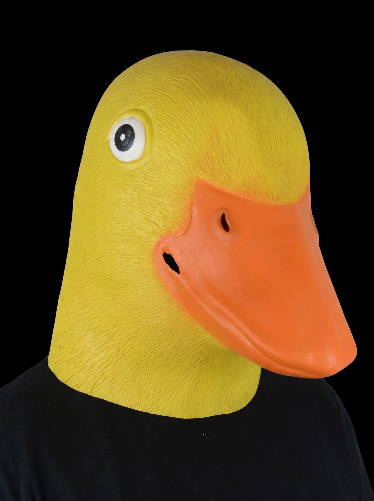 Eend masker