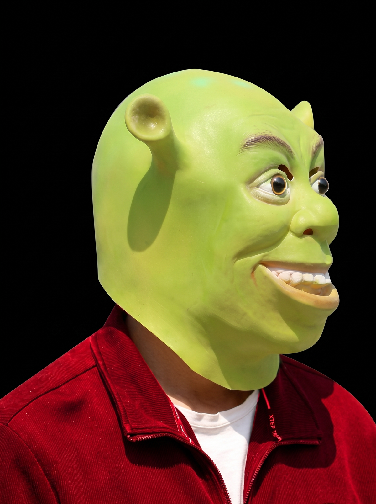 Shrek masker