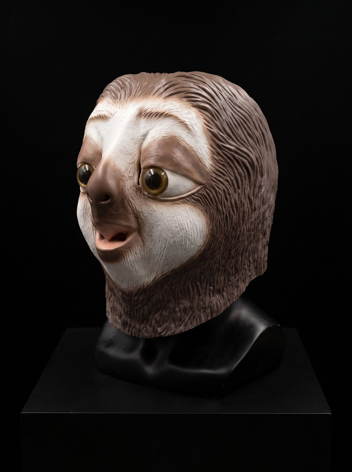 Flash masker (Zootropolis)