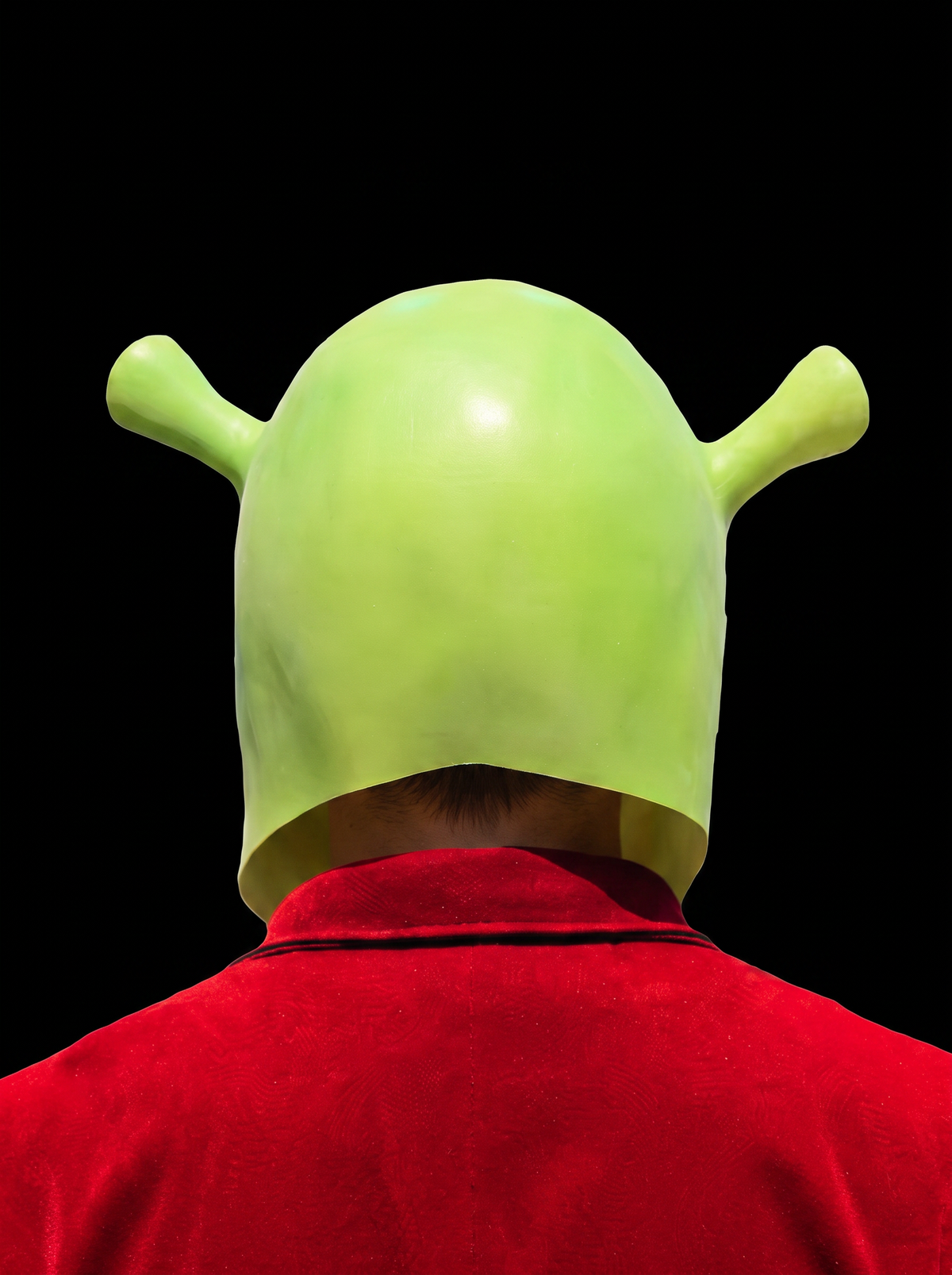 Shrek masker