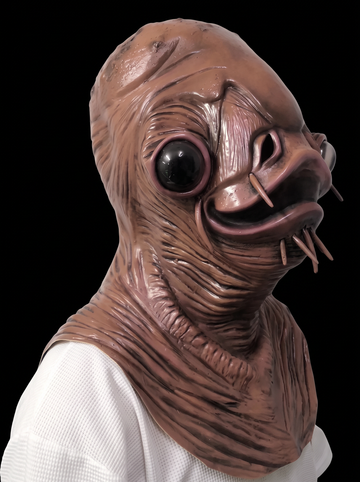 Breedbek Vis masker